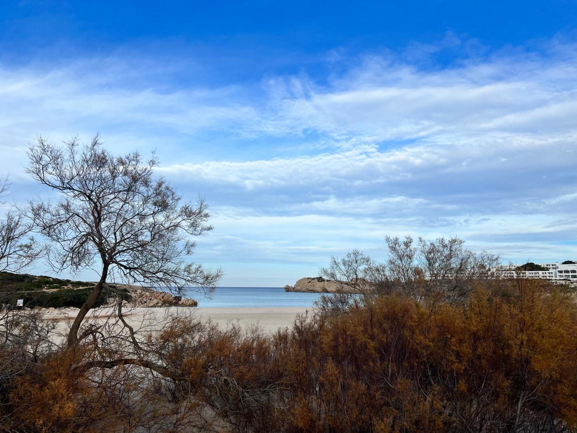 Disfruta Del Paraiso Son Parc Luaran gambar