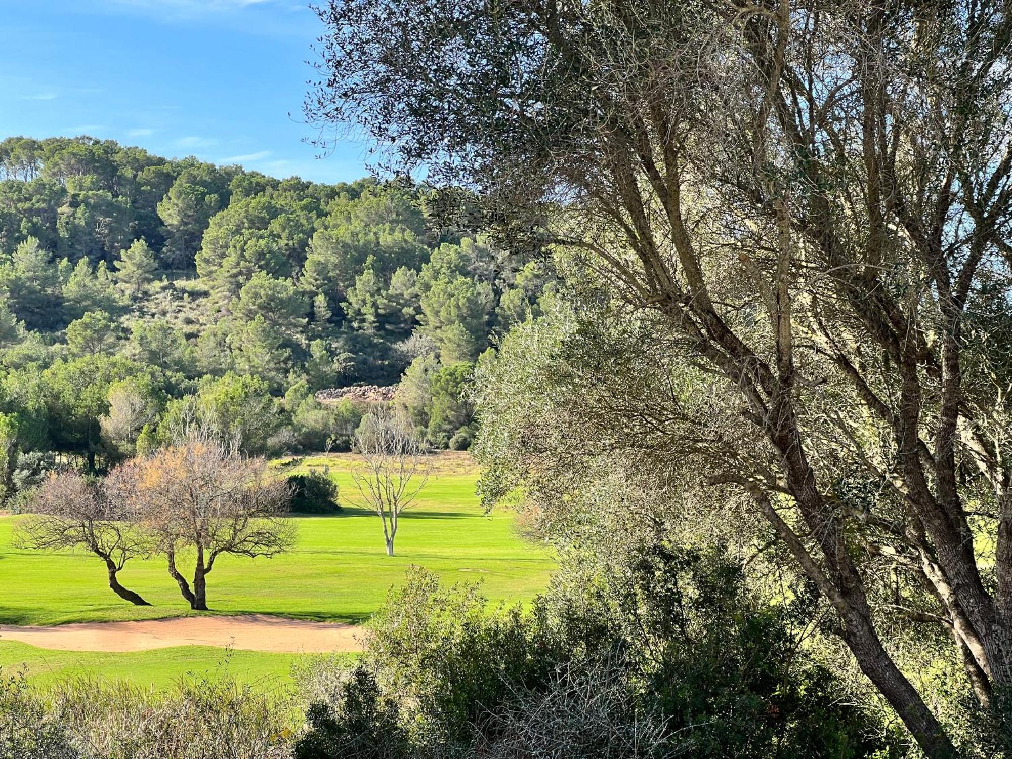 Disfruta Del Paraiso Son Parc Luaran gambar